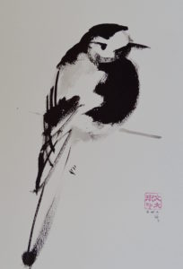 7 cranky finch