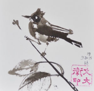 19. Flycatcher: 4"x4"