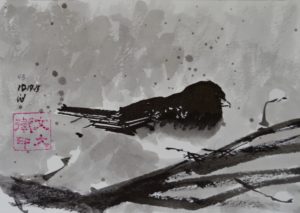 43. Junco: 5.5"x7"