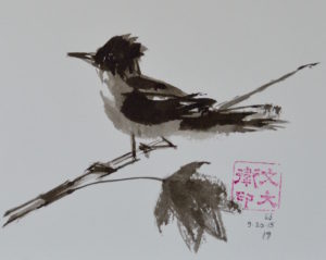 17. Flycatcher: 5"x7"
