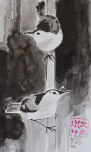 22. Nuthatches: 7"x4"
